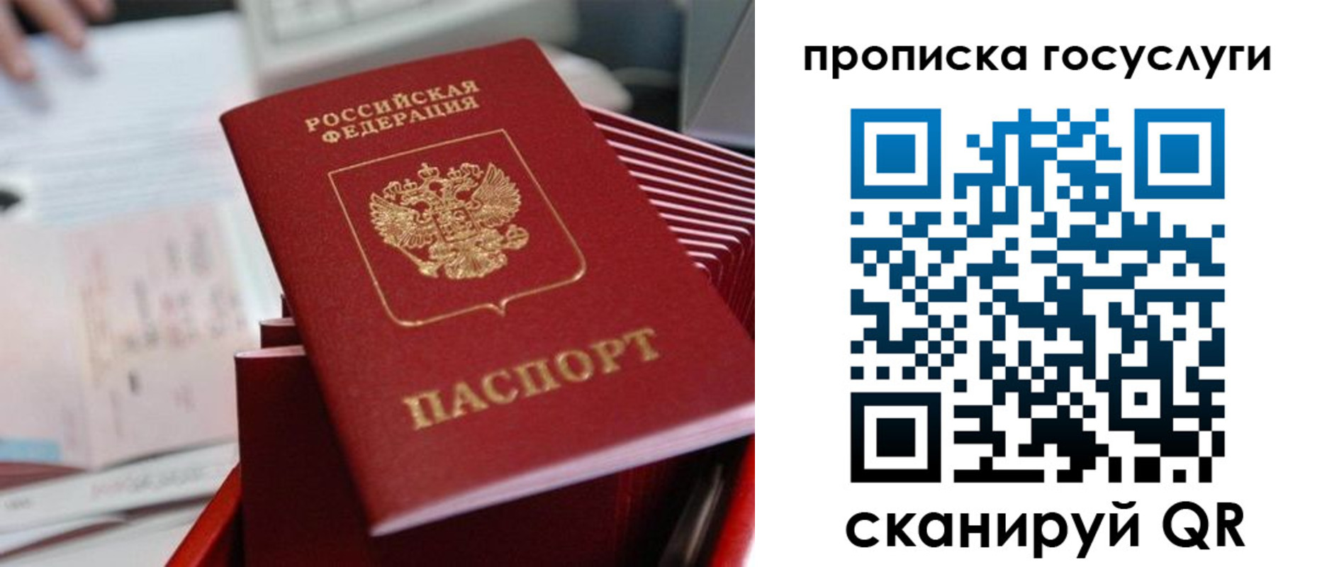 прописка законно в Славгороде